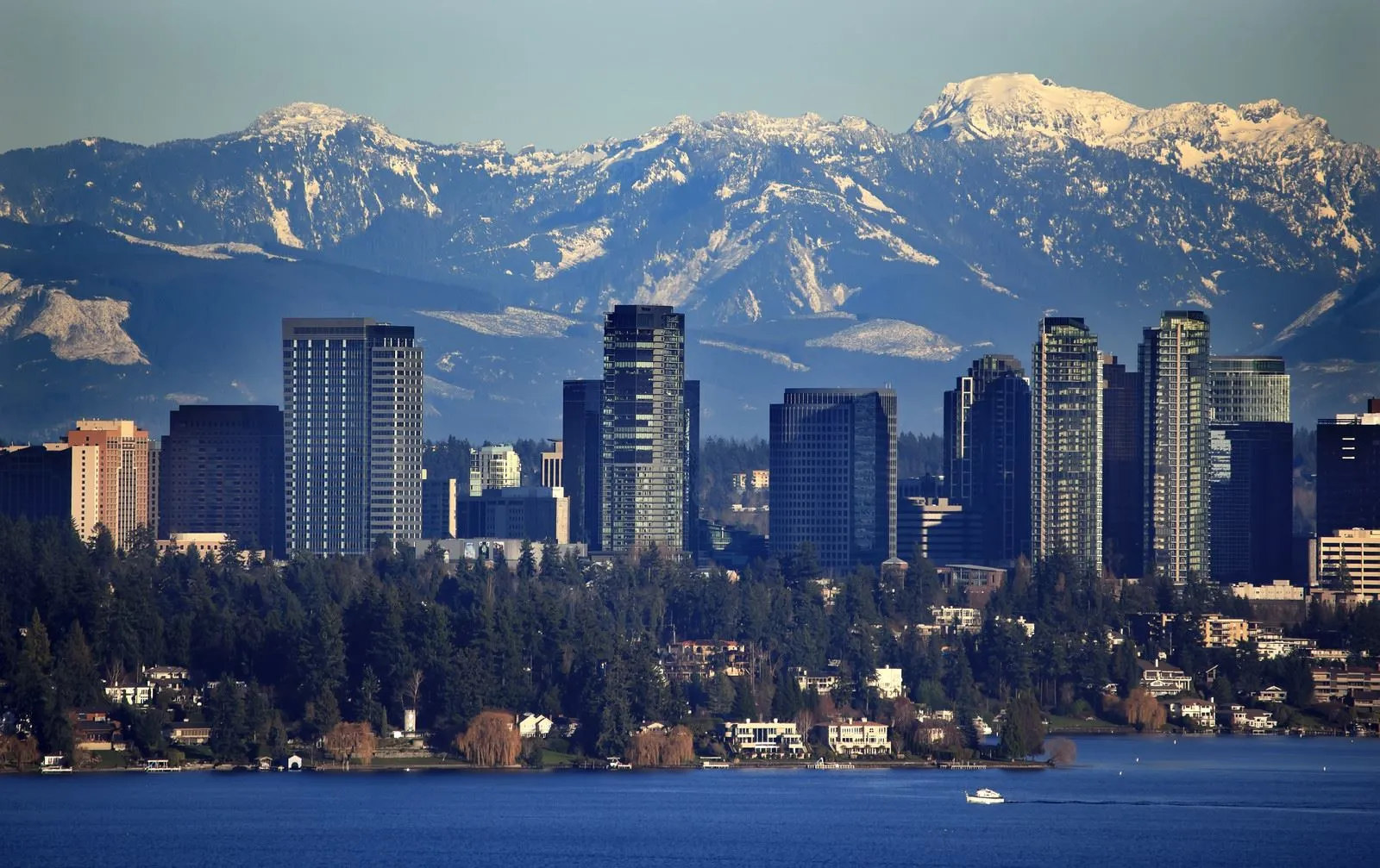 We make moving simple, fast, and stress-free for families and businesses across Bellevue, WA